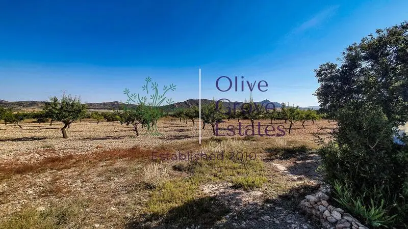 Terreno Rustico en Venta Caudete Albacete 13773m2