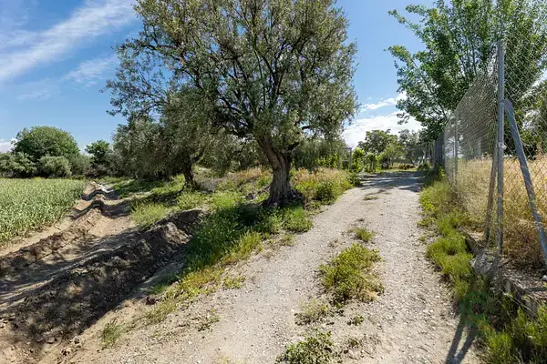 Suelo Rustico Cullar Vega 3698m2 Cultivo Intensivo