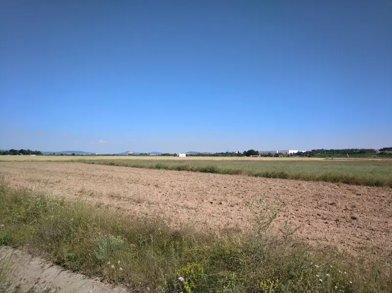 Venta Parcela El Rubial Almansa 22400m2