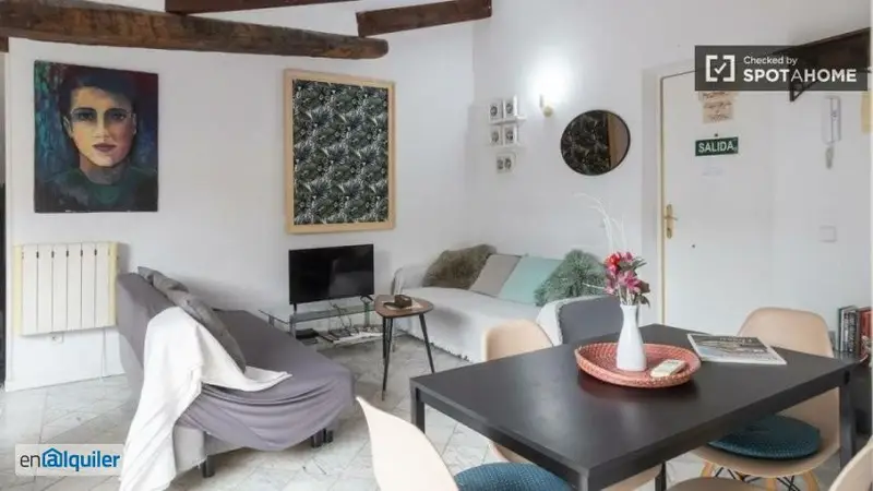 Apartamento 1 Dormitorio Palacio Madrid Amueblado