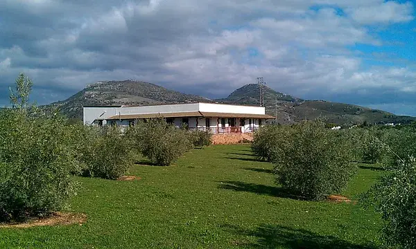 Finca con Hangar y Pista de Aterrizaje - 5 Dormitorios