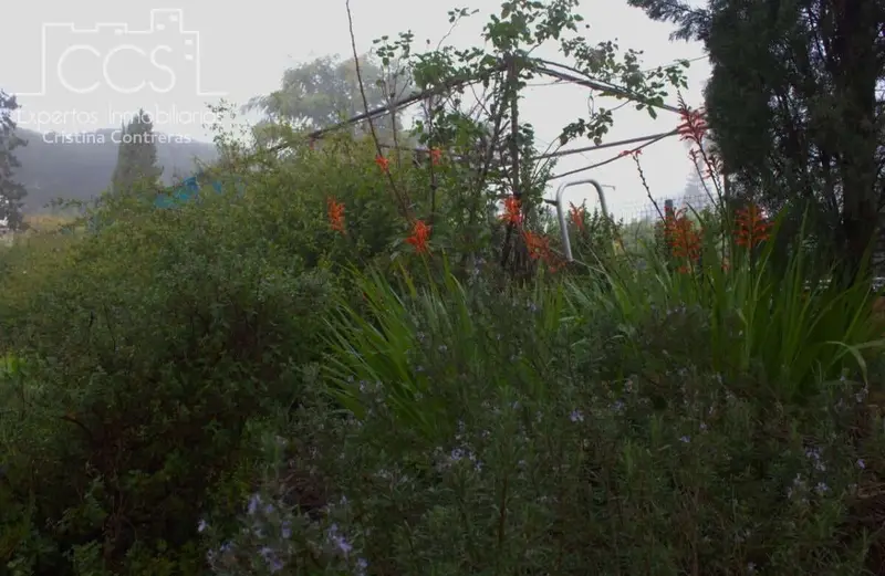 Finca Rustica en Venta Lucena del Puerto Huelva