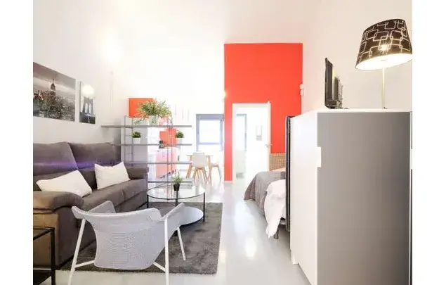 Estudio con Encanto en Madrid Ideal para Profesionales y Estudiantes