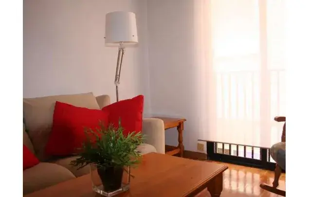 Alquiler Apartamento 2 Dormitorios Murcia Amueblado