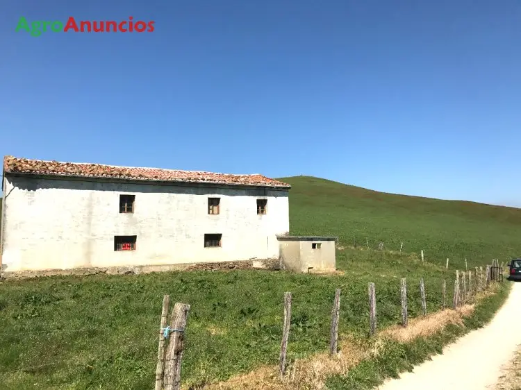 Venta  de Finca ganadera con cabaña en Cantabria