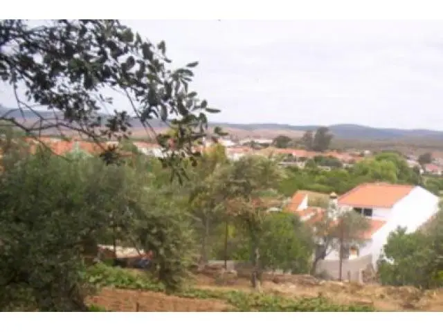 Finca Rustica con Encinas Alcornoques y Olivos para Engorde de Ganado