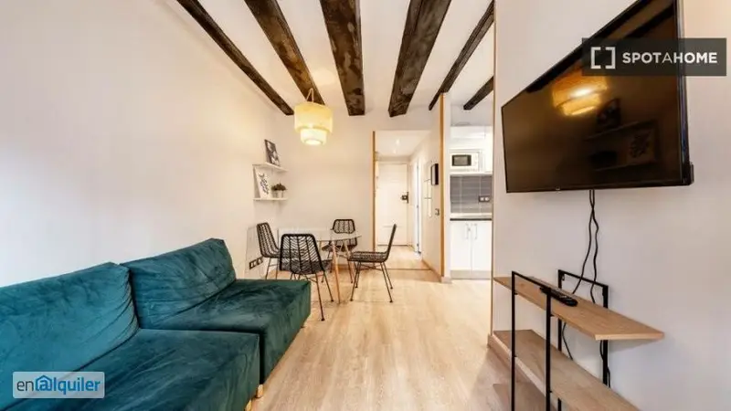 Apartamento 2 Dormitorios Barceloneta