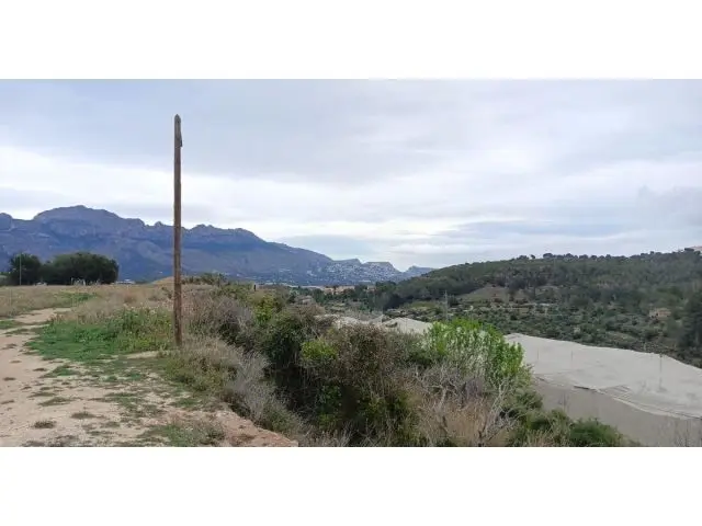 Terreno en La Nucía con árboles frutales 450m²