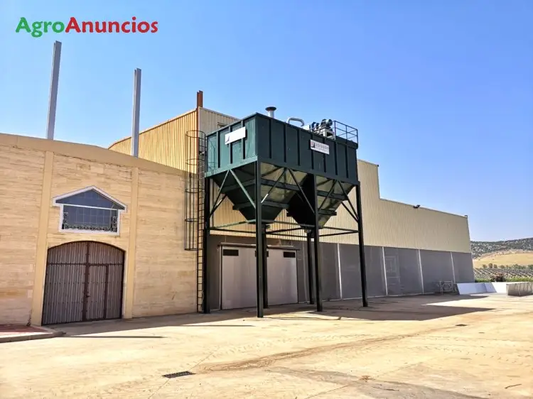 Venta  de Finca de olivos superintensivos en Ciudad Real