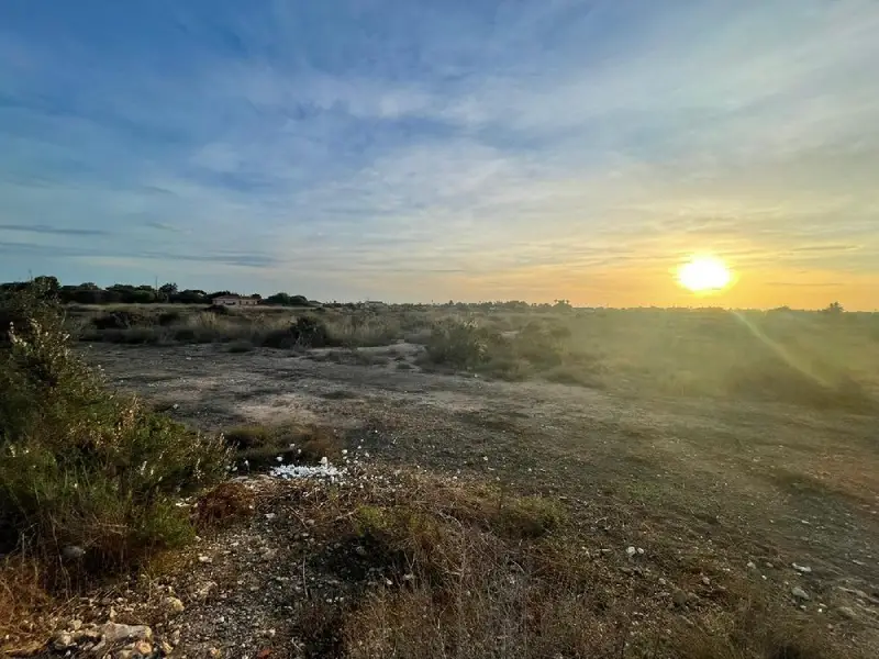Venta Parcela Elche Ref EF09698