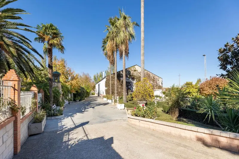Finca Rustica en Venta Vegas del Genil Granada