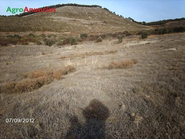 Venta  de Finca rústica de tierra calma en Granada