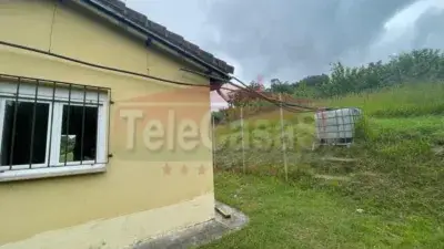 Finca Rustica Asturias 50m2 3000m2 Jardin Manzanos