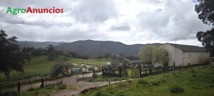 Venta Finca Ganadera 225 Hectareas Sevilla