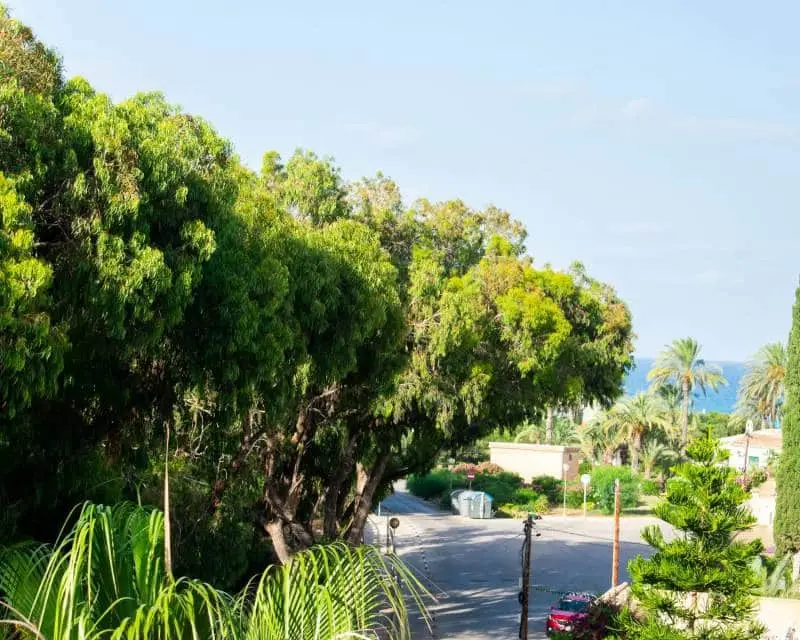 Atico en Venta Playa Flamenca Orihuela Costa