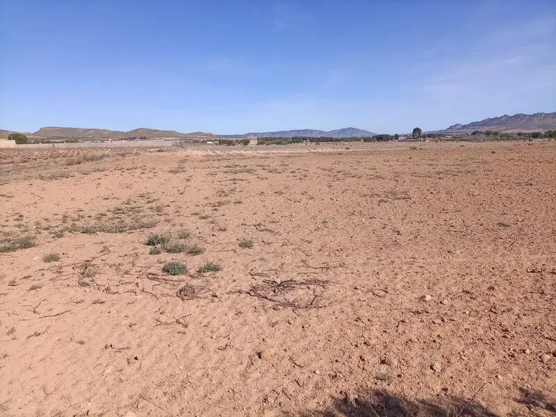 Solar 22000m2 Yecla - Construye tu casa