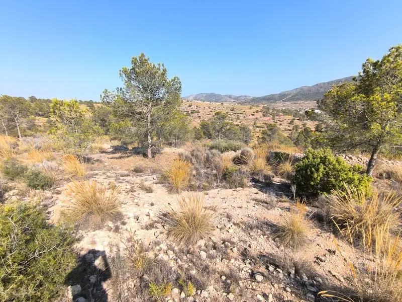 Terreno en venta La Romana, España