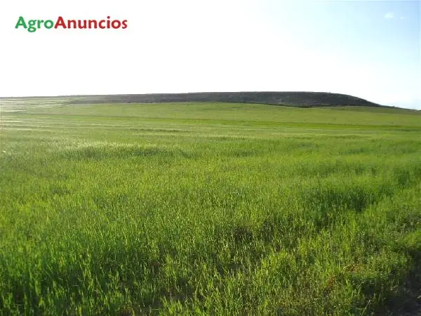 Venta  de Finca de secano en Soria