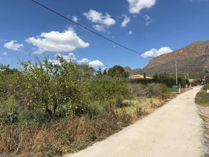Parcela Rustica en Venta Santomera 1800m2 Limoneros