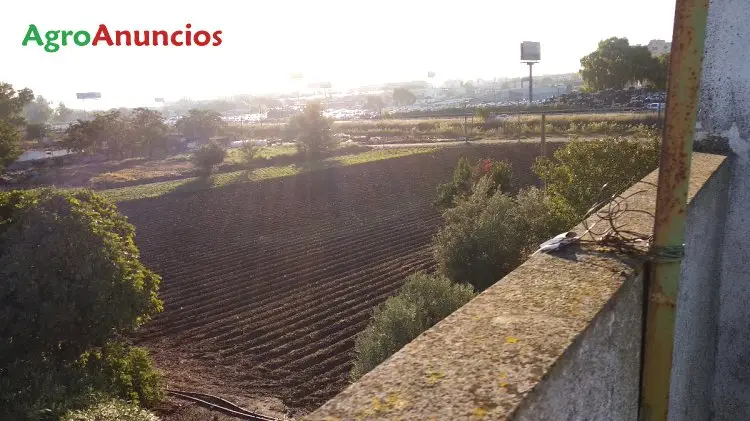 Alquiler  de Finca de regadío en Sevilla