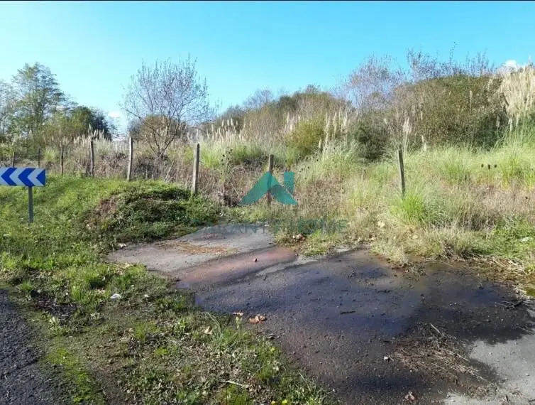 Venta Terreno Rustico en Barcena de Cicero Cantabria