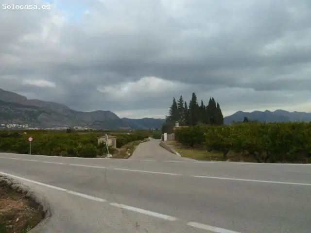 Parcela Agricola en Venta Orba Alicante
