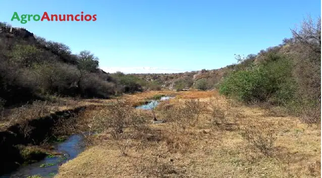 Venta  de Terreno de secano en Málaga