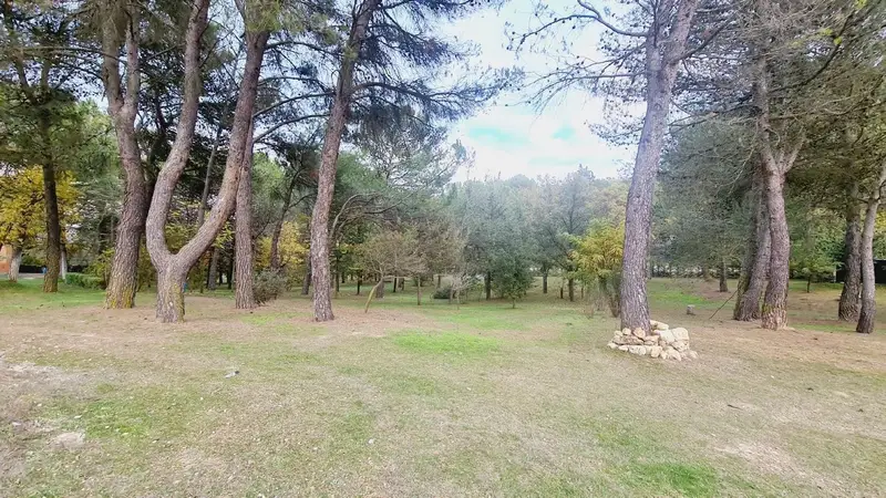 Finca Rural Palencia ciudad: Chalet con 1,5 Hectáreas