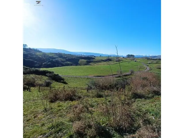 Finca Rustica Agraria Fresnedo 5946m2