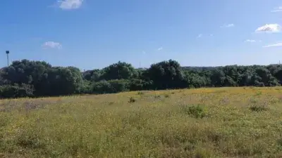 Finca Rustica en Venta Vejer de la Frontera