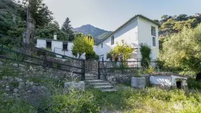 Casa Rustica con Finca en Grazalema