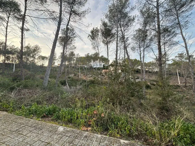 Parcela en Venta en Olivella Barcelona