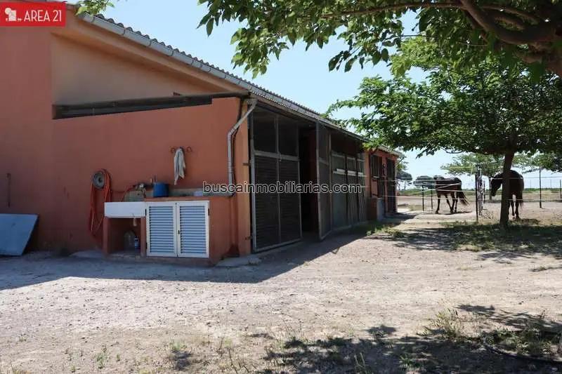 Nave Industrial con Boxes para Caballos en Llíria