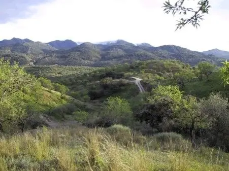 Venta Parcela Rustica Monda Costa del Sol 26000m2