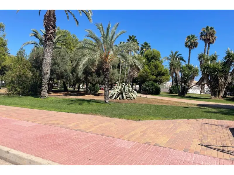 Planta Baja Reformada en Torrevieja con Piscina y Terraza