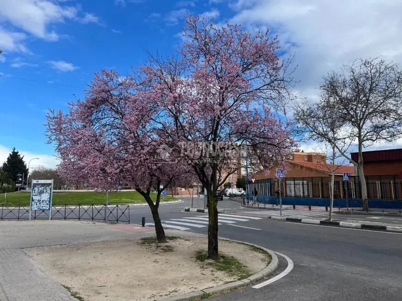 Trastero en Venta San Nicasio 11m2