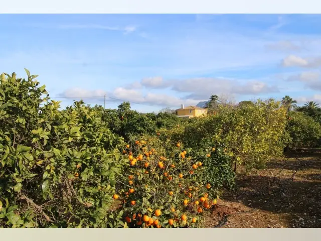 Casa de Campo con 4 Dormitorios y Gran Terreno en Venta