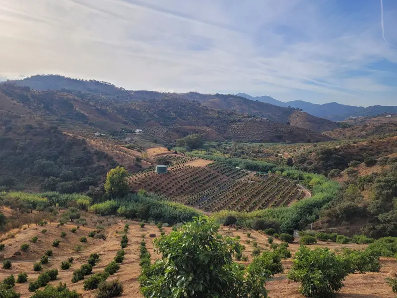 Terreno en Venta Guaró España 10 Hectáreas