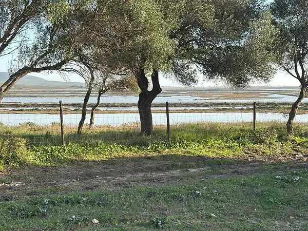 Parcela Rustica Barbate 3600m2 Vistas Arboles