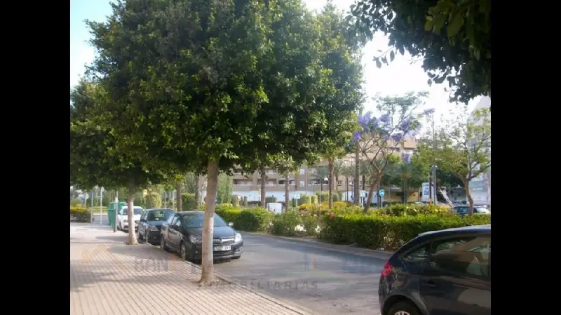 Venta Piso con Patio en El Ejido Norte