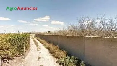 Venta  de Finca de regadío en Murcia