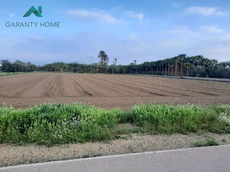 Venta Terreno Rural Elche