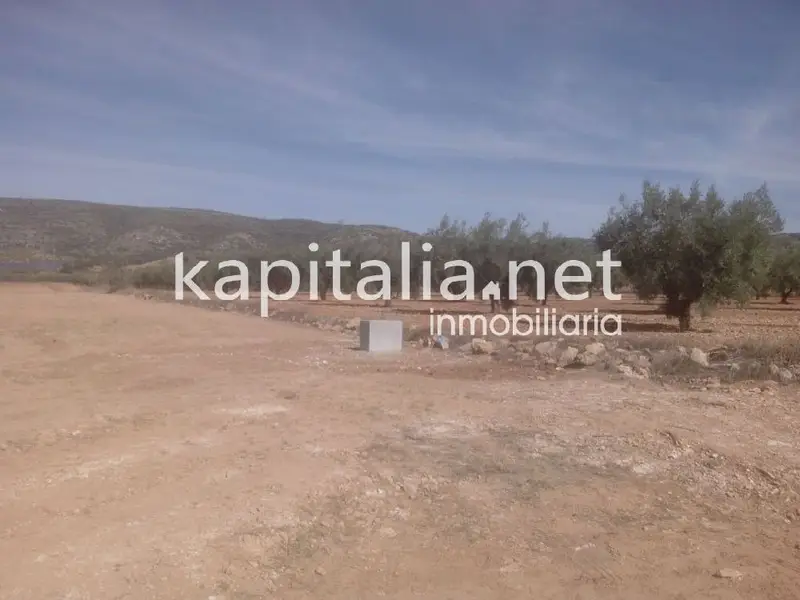 Venta Terreno Bañeres Banyeres de Mariola 16327m2 Olivos
