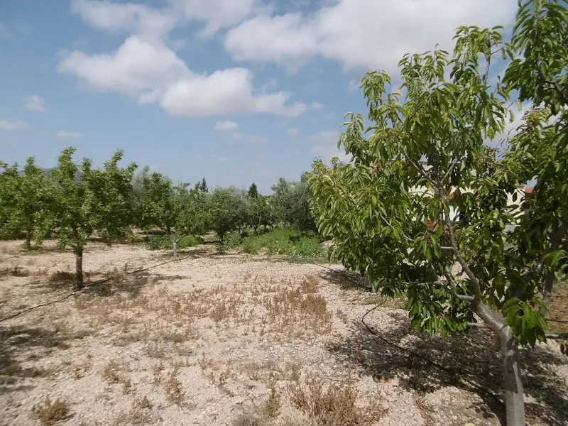 Chalet en venta en Yecla, Murcia