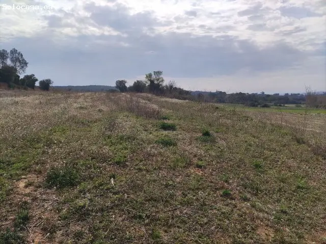 Finca Rustica en Venta Vilopriu Girona
