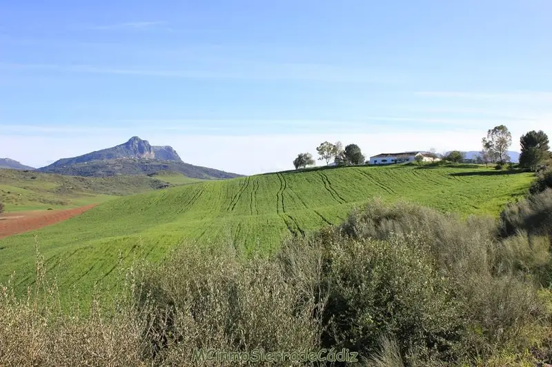 Venta Finca de 4 habitaciones en Algodonales - Ref: 20
