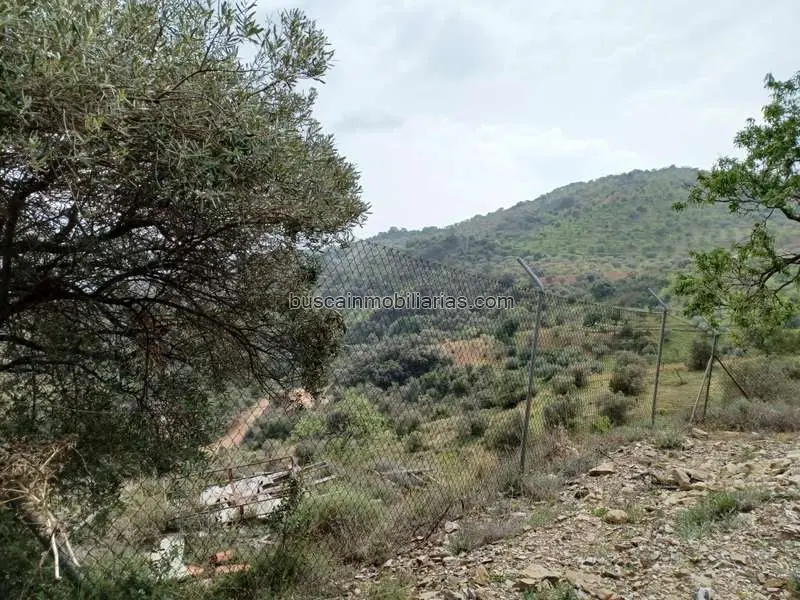 Parcela Rustica en Venta o Alquiler Malaga