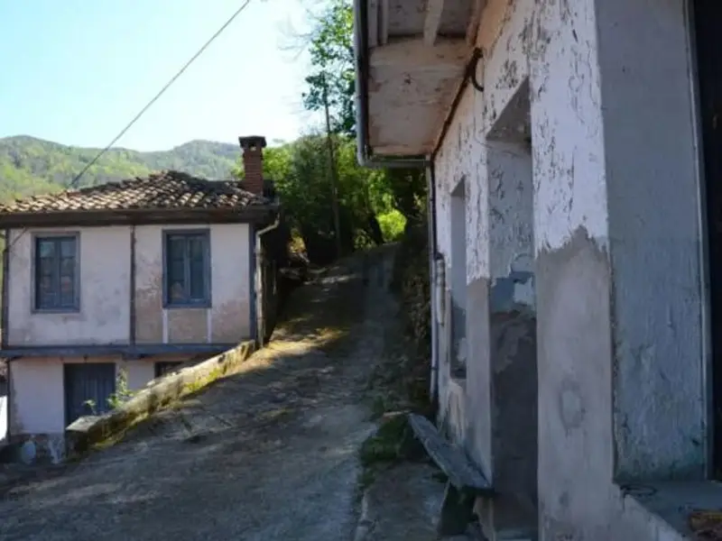 Venta Chalet con dos casas unidas en entorno rural Asturias