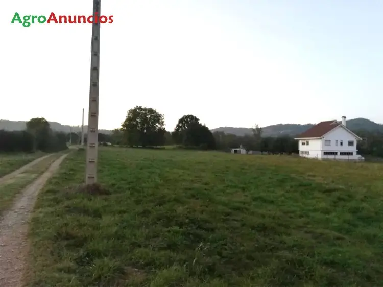 Venta  de Finca de recreo en Asturias