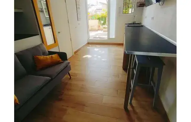 Alquiler Apartamento 1 Dormitorio Málaga